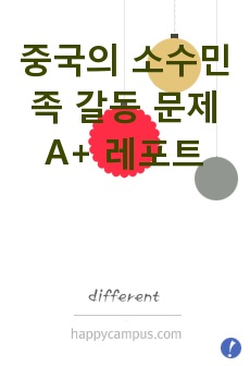 중국의 소수민족 갈등 문제 A+ 레포트