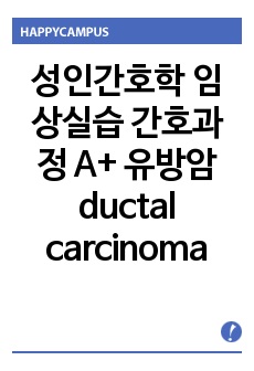 성인간호학 임상실습 간호과정 A+ 유방암 ductal carcinoma in situ of Rt. breast 구체적 서술