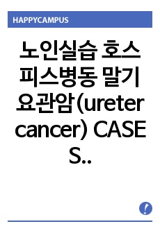 노인실습 호스피스병동 말기 요관암(ureter cancer) CASE STUDY (간호진단 4개) (간호과정 2개)