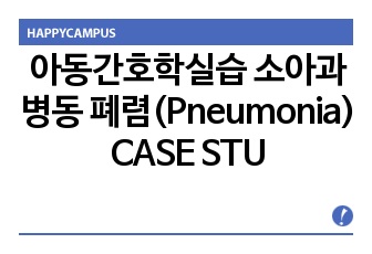 아동간호학실습  소아과 병동  폐렴(Pneumonia)  CASE STUDY  (간호과정 3개)