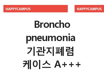 아동간호학 Bronchopneumonia 기관지폐렴 케이스 A+++ (자세한 신체사정& 진단2개)