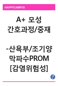 A+ 모성간호학 실습 CASE STUDY -산욕부/조기양막파수(PROM)과 관련된 감염의 위험성 (간호진단, 간호과정)