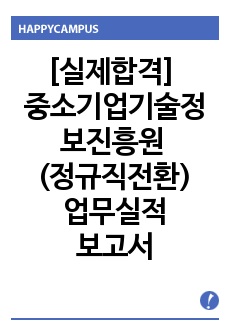 [실제합격] 중소기업기술정보진흥원 채용형인턴 정규직전환 업무실적보고서 (공공기관/공기업 채용형인턴 전환합격 업무실적보고서, 합격경력기술서, 합격업무추진보고서)