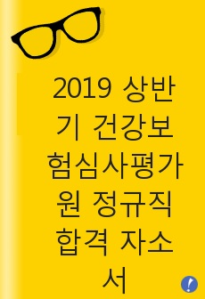 2019 상반기 건강보험심사평가원 정규직 합격 자소서