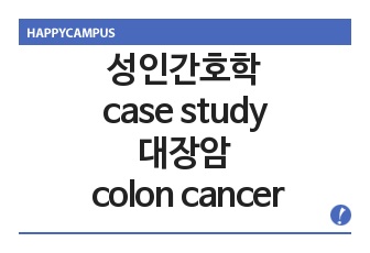 성인간호학 케이스 스터디 case study 대장암 colon cancer (간호과정 2개)