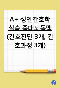 A+ 성인간호학 실습 중대뇌동맥 (간호진단 3개, 간호과정 3개)