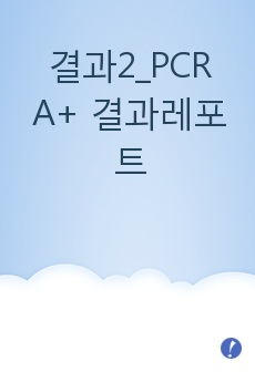 결과2_PCR A+ 결과레포트