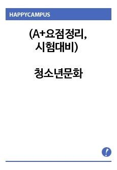 (A+요점정리, 시험대비) 청소년문화