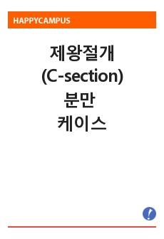 제왕절개(C-section) 분만 케이스