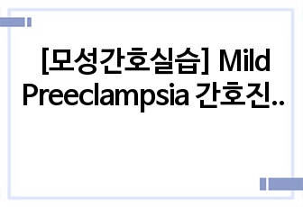 [모성간호실습] Mild Preeclampsia 간호진단(5개) 및 간호과정(2개)