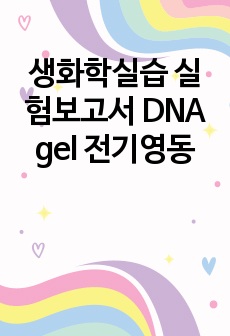 생화학실습 실험보고서 DNA gel 전기영동