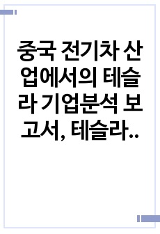 중국 전기차 산업에서의 테슬라 기업분석 보고서, 테슬라의 4P전략 및 전략적 포지션