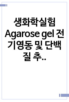 생화학실험 Agarose gel 전기영동 및 단백질 추출 고찰