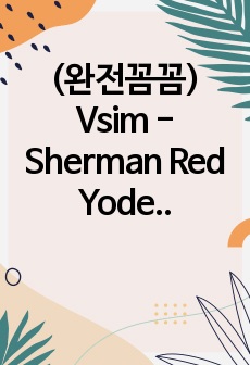 (완전꼼꼼) Vsim - Sherman Red Yoder, Part 1 - 5단계