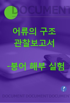 어류의 구조 관찰에 관한 보고서 - 붕어 해부 실험