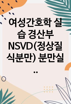 여성간호학 실습 경산부 NSVD(정상질식분만) 분만실 학습내용