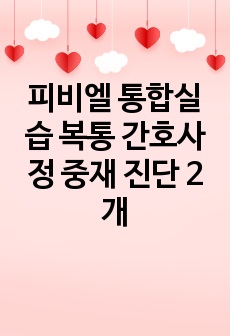 피비엘 통합실습 복통 간호사정 중재 진단 2개