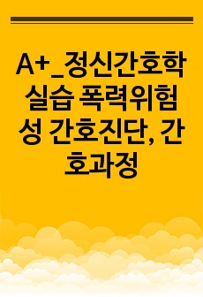 A+_정신간호학실습 폭력위험성 간호진단, 간호과정