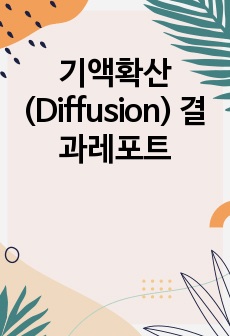 기액확산(Diffusion) 결과레포트