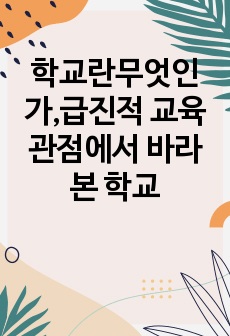 학교란무엇인가,급진적 교육관점에서 바라본 학교