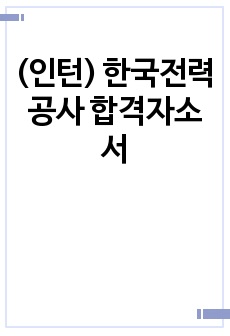 (인턴) 한국전력공사 합격자소서