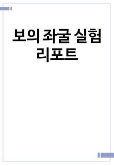 보의 좌굴 실험 리포트