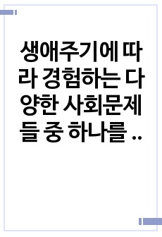 생애주기에 따라 경험하는 다양한 사회문제들 중 하나를 선택하여 그들이 경험하는 심각한 사회문제나 이슈를 찾아 문제점과 해결방안을 제시하시오.