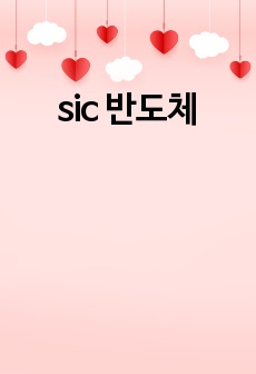 sic 반도체