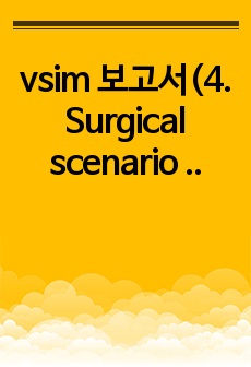 vsim 보고서(4. Surgical scenario Doris Bowman Total abdominal hysterectomy and bilateralsalpingo-oopherctomy)