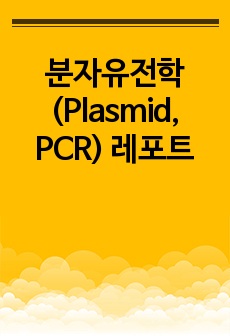 분자유전학(Plasmid, PCR) 레포트