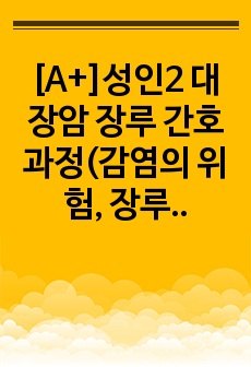 [A+]성인2 대장암 장루 간호과정(감염의 위험, 장루간호) 진단 10개, 간호과정 2개(꼼꼼)