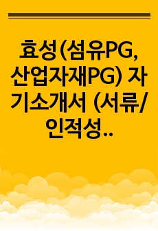 효성(섬유PG, 산업자재PG) 자기소개서 (서류/인적성 합격)