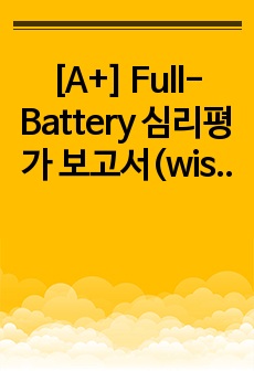 [A+] Full-Battery 심리평가 보고서(wisc-v)