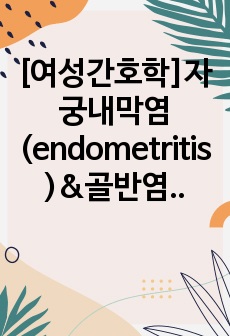 [여성간호학]자궁내막염(endometritis)&골반염(pelvic inflammatory) 질병보고서(질병고찰, 문헌고찰)