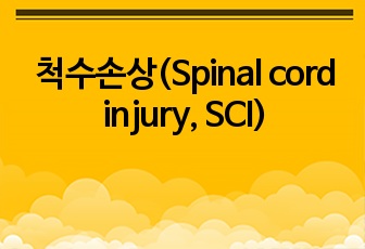 척수손상(Spinal cord injury, SCI)