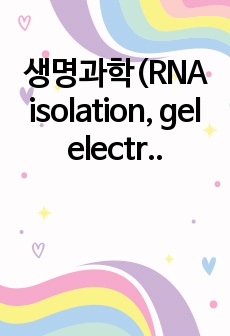 생명과학(RNA isolation, gel electrophoresis) 레포트