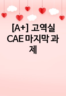 [A+] 고역실 CAE 마지막 과제