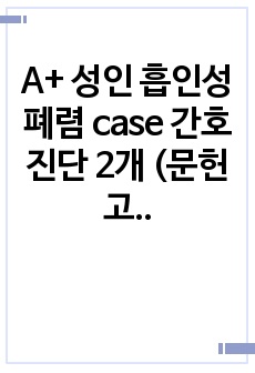 A+ 성인 흡인성 폐렴 case 간호진단 2개 (문헌고찰 O)