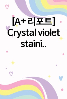 [A+ 리포트] Crystal violet staining (세포생물학실험)