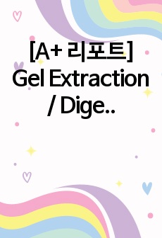 [A+ 리포트] Gel Extraction / Digestion & Purification (분자생물학실험)