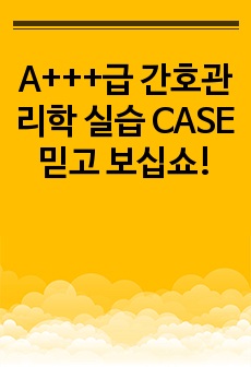 A+++급 간호관리학 실습 CASE 간호관리과정