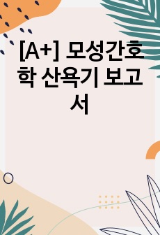 [A+] 모성간호학 산욕기 보고서