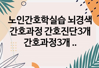 노인간호학실습 뇌경색간호과정 간호진단3개 간호과정3개 피부손상위험성 낙상위험성 신체기동성장애