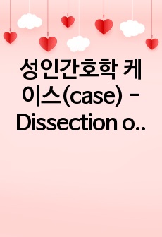성인간호학 케이스(case) - Dissection of aorta(대동맥 박리) - A+