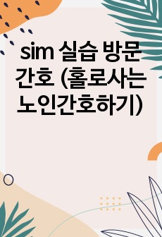 sim 실습 방문간호 (홀로사는 노인간호하기)