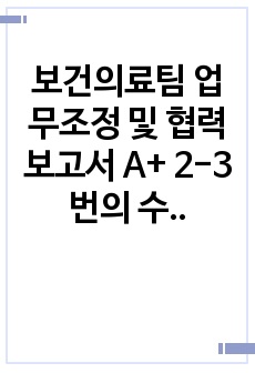 보건의료팀 업무조정 및 협력 보고서 A+ 2-3번의 수정후 최종본