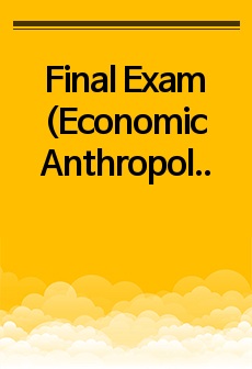 [A+] Final Exam (Economic Anthropology, 경제인류학)