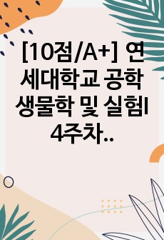 [10점/A+] 연세대학교 공학생물학 및 실험I 4주차 효소 활성 측정