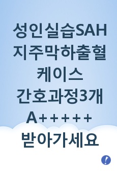 성인실습SAH지주막하출혈케이스간호과정3개 A+++받아가세요