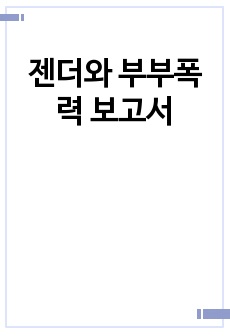 젠더와 부부폭력 보고서